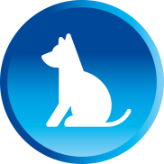 White puppy icon in blue circle
