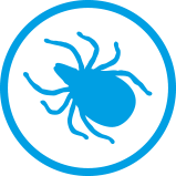 Ticks icon with text terminates ticks