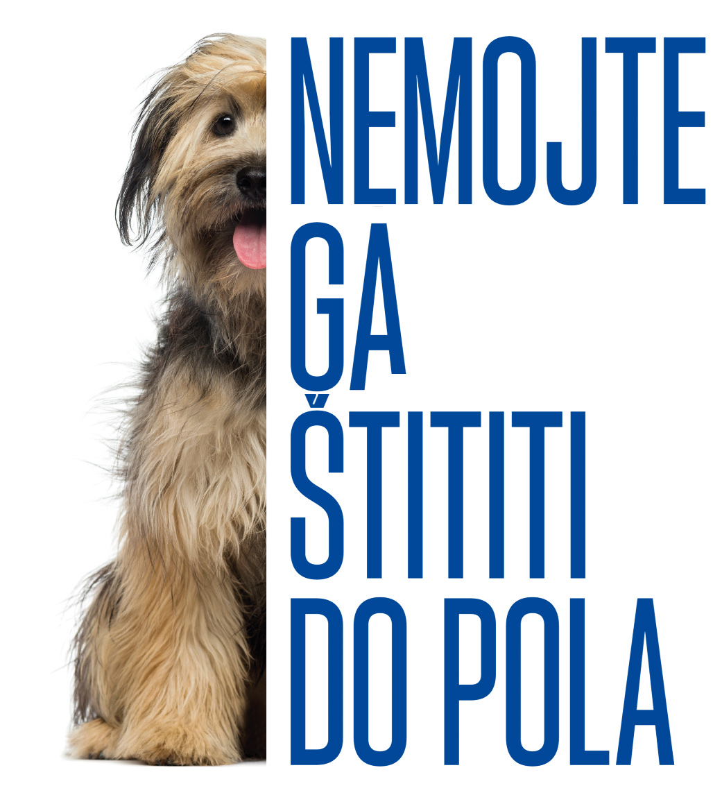 Pas sedi sa isplaženim jezikom. Samo polovina psa je vidljiva, desna strana je isečena i na njenom mestu su reči Nemojte je zaštititi do pola.